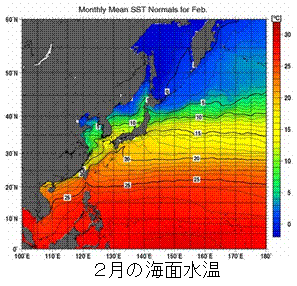 2月の海面水温