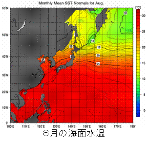 8月の海面水温