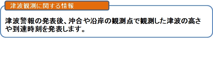 津波観測に関する情報