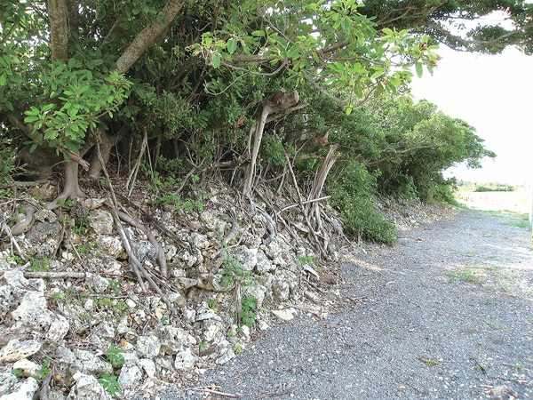 クバカ城跡