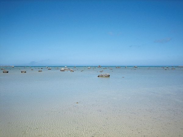  佐和田の浜珊瑚礁・礁湖面